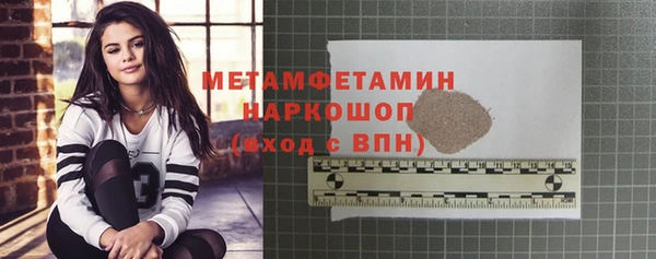 индика Богородицк