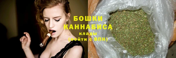 метадон Богданович