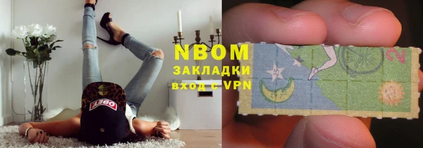 прущие грибы Богородск