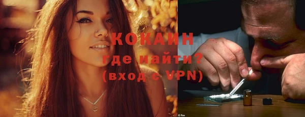 прущие грибы Богородск