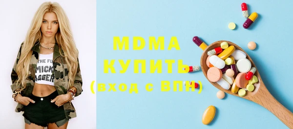 индика Богородицк