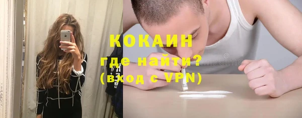 индика Богородицк