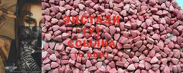 индика Богородицк