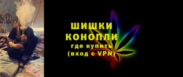 индика Богородицк