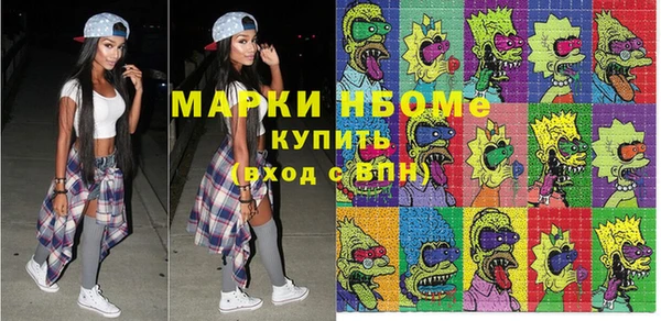 индика Богородицк