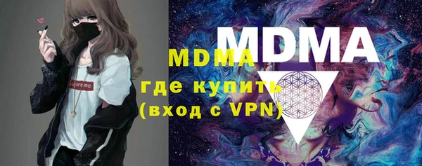 индика Богородицк