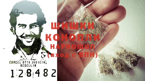 метадон Богданович