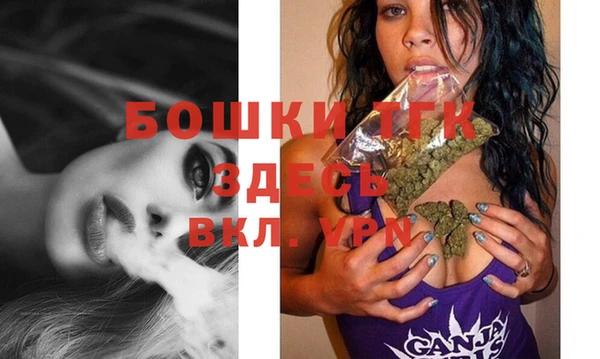 метадон Богданович