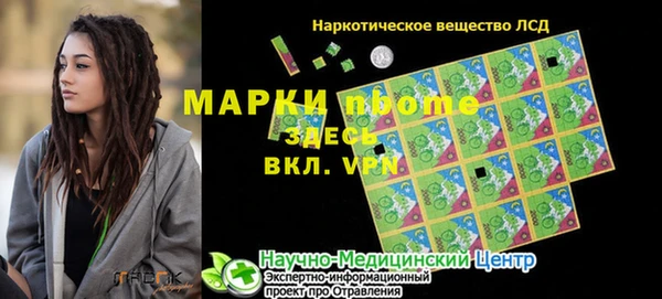 индика Богородицк