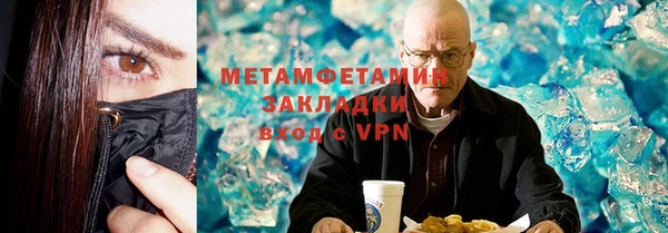 индика Богородицк