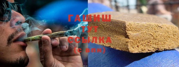 индика Богородицк