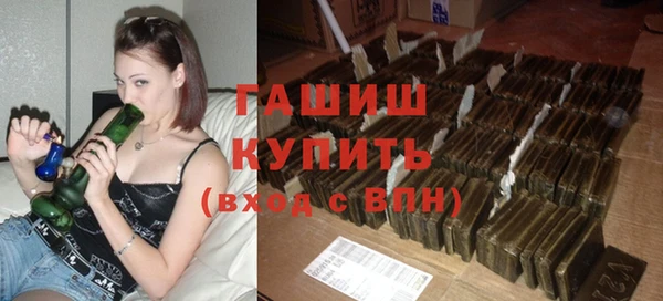 индика Богородицк