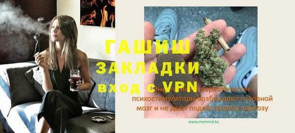 индика Богородицк