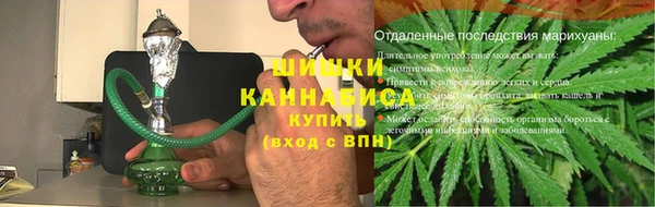 метадон Богданович