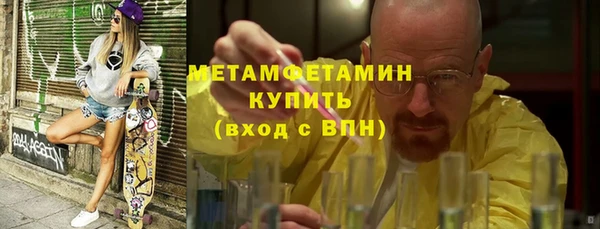 индика Богородицк