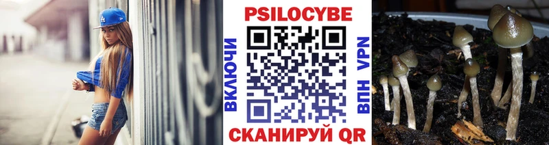 купить наркотики цена  Валуйки  hydra зеркало  дарк нет как зайти  Псилоцибиновые грибы Psilocybine cubensis 