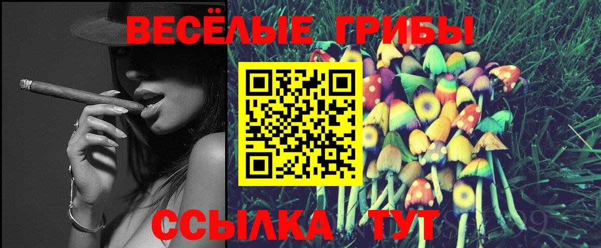 Галлюциногенные грибы Psilocybe Валуйки