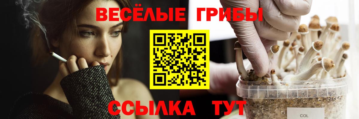 Валуйки  Галлюциногенные грибы MAGIC MUSHROOMS  Вход с VPN 